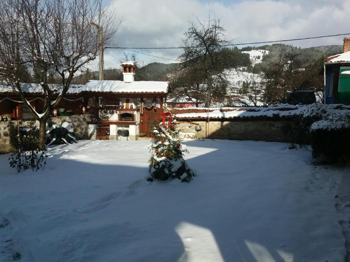 Guest House Bolyarka Koprivshtitsa Esterno foto